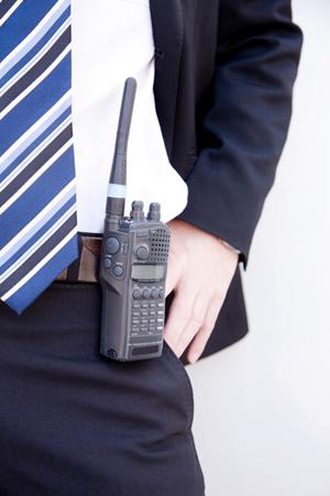 世界に羽ばたくHot Stampの技術